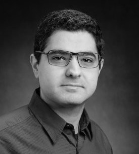 Prof. Haitham Hassanieh